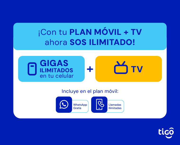 Blindaje FMC_tv+pos.png